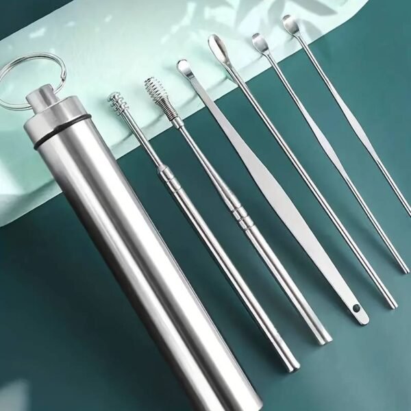 6pcs Stainless Steel Ear Pick Ear Pick Tool Set Portable Spiral Spring Ear Cleaning - Set Of 6 Stainless Ear Spoons