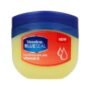 VASELINE BLUESEAL NOURISHING SKIN