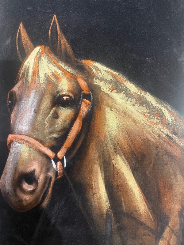 Rusace Arts Framed Caballo Nero 56x33cm