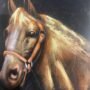 Rusace Arts Framed Caballo Nero 56x33cm