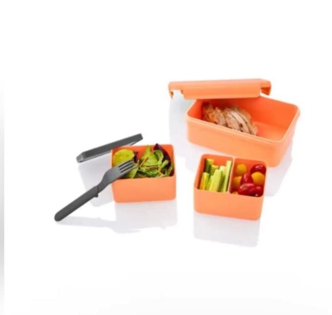 Ernesto Lunchbox With Divider