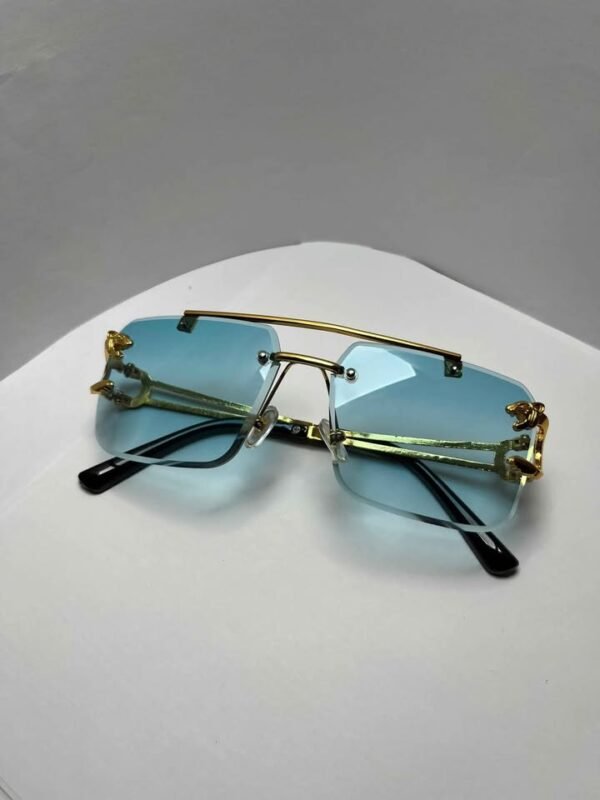Cheetah sunglasses